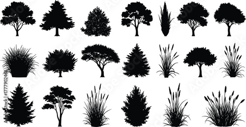 Tree silhouette collection, botanical shapes, forest elements, nature icons, plant diversity, foliage forms, landscape design, environmental art, black vector set