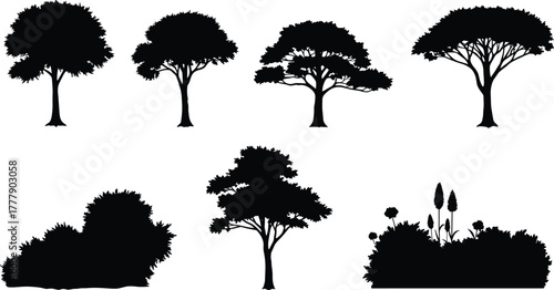 Tree silhouette, shrub silhouette, botanical illustration, nature graphic, forest element, black foliage, vector tree, landscaping design, plant shape, garden art