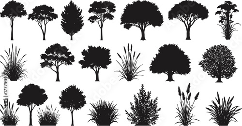Tree silhouette, plant vector, black foliage, nature icon, botanical shape, landscape element, forest graphic, shrub clipart, grass illustration, isolated vegetation