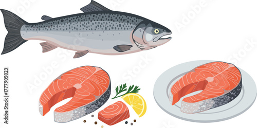 Whole salmon, raw fish, seafood preparation, salmon steaks, fillet with lemon, gourmet cooking, fresh ingredients, culinary cuts, healthy food, kitchen