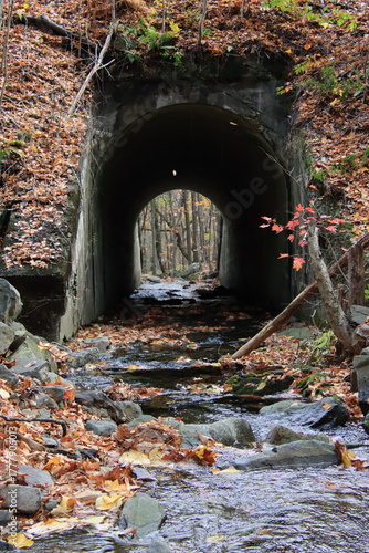 underpass in post foliage time