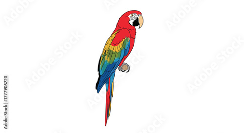 Vibrant digital illustration of a beautiful scarlet macaw parrot, with striking red, yellow, and blue plumage, perched on a white background.