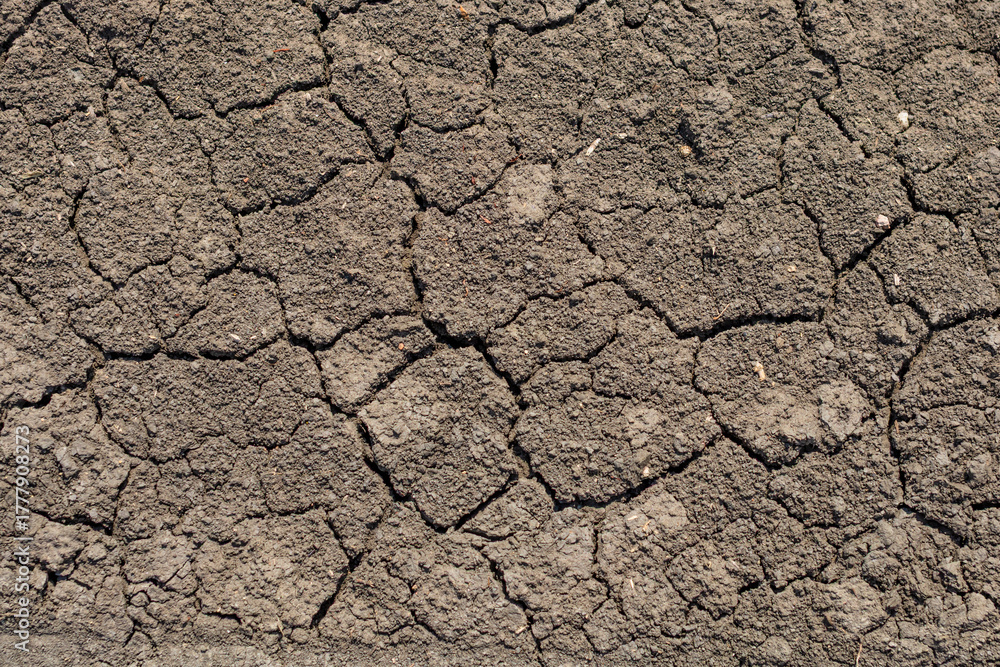 Fototapeta premium Global warming, Drought in the summer. Dark soil texture closeup