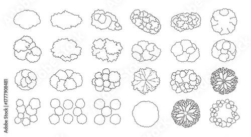 A set of vector drawings of various trees from above for architectural and landscape design plans