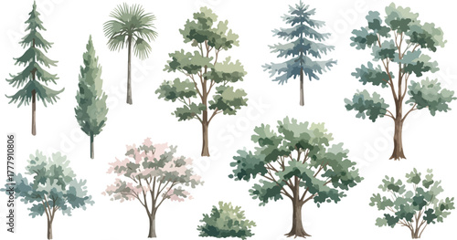 Watercolor tree a collection of various trees and bushes for landscape design and nature illustration