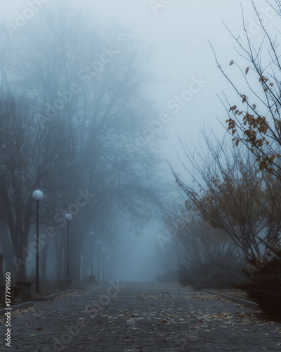 A deep, atmospheric scene of a park or alley shrouded in thick, dense fog or haze. A cobblestone path strewn with autumn leaves extends into the frame, where the fog completely obscures the horizon.