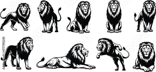 Stylized Lion Poses in Black and White, Regal, Resting, Roaring, Walking, Sitting, Powerful Expressions, Anatomy, Strength, Grace, Majesty