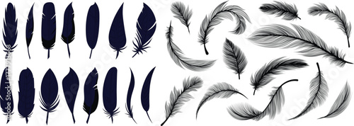 Shiny feathers of birds flat vector illustrations set