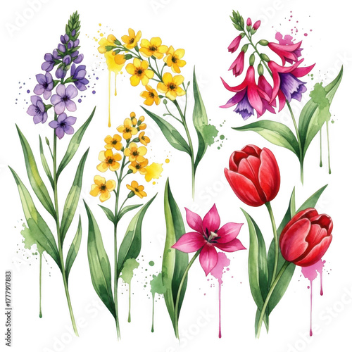 Wallpaper Mural Vibrant watercolor floral arrangement with drip effect realistic botanical art for decor isolated on transparent background Torontodigital.ca