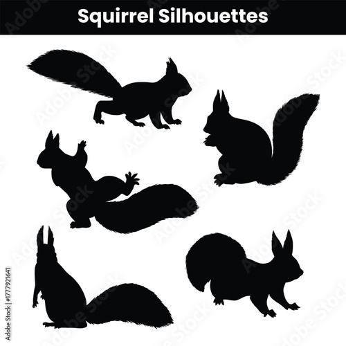Squirrel Silhouettes