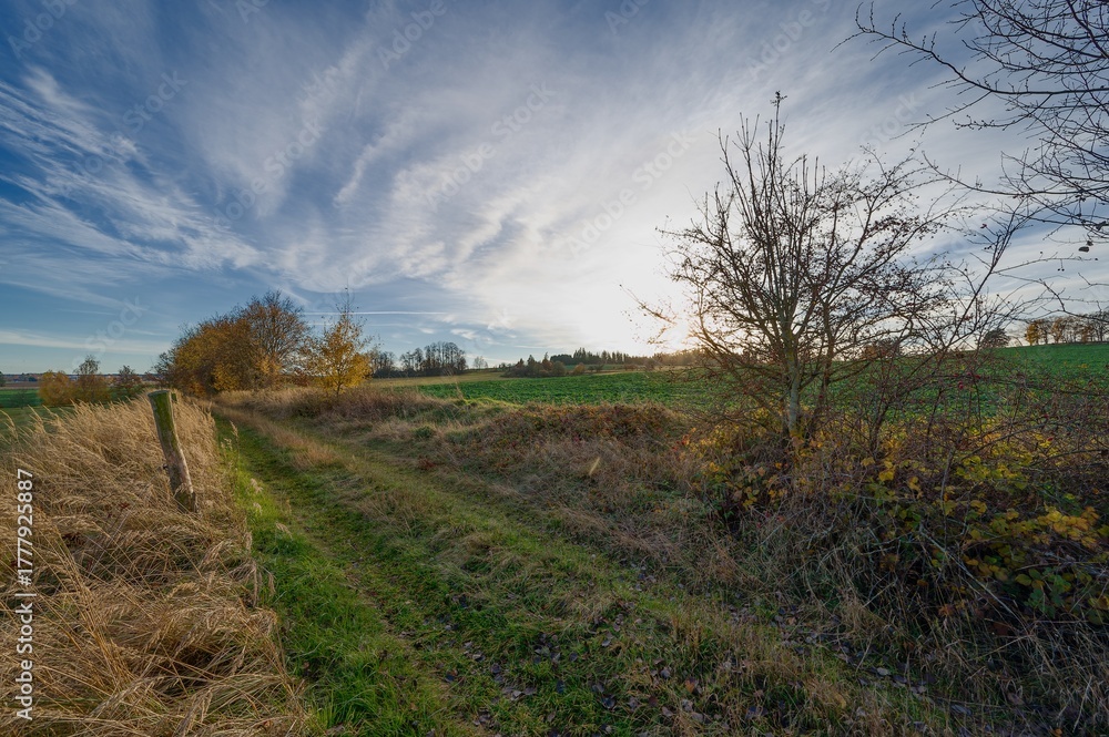 Fototapeta premium View of a dirt road, November afternoon, slightly cloudy sky, yellow leaves on trees, November, low sun