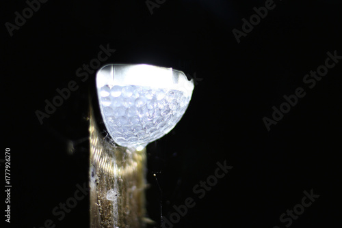 Nighttime over folly Island in Hertfordshire next to Hertford brewery