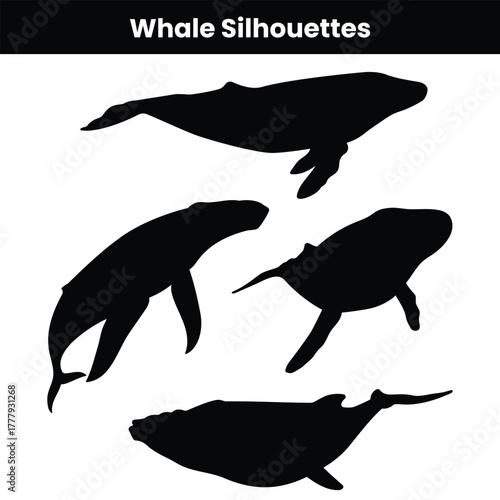 Whale Silhouettes