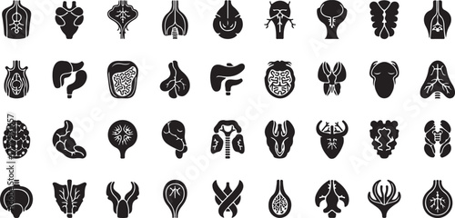 Human internal anatomy organs icon set for medical health design