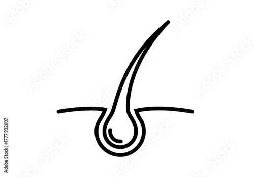 A line art illustration showing a single strand of human hair follicle emerging from the epidermis layer of the skin