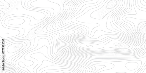 Abstract white topography vector background, Topographic map lines background. Abstract vector illustration.