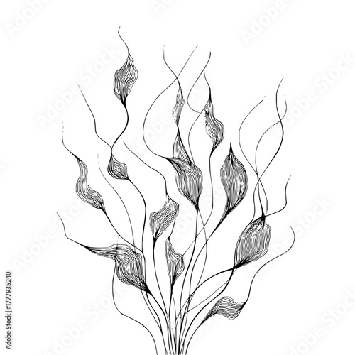 Abstract botanical illustration of flowing leaves and stems in black and white line art style drawing design