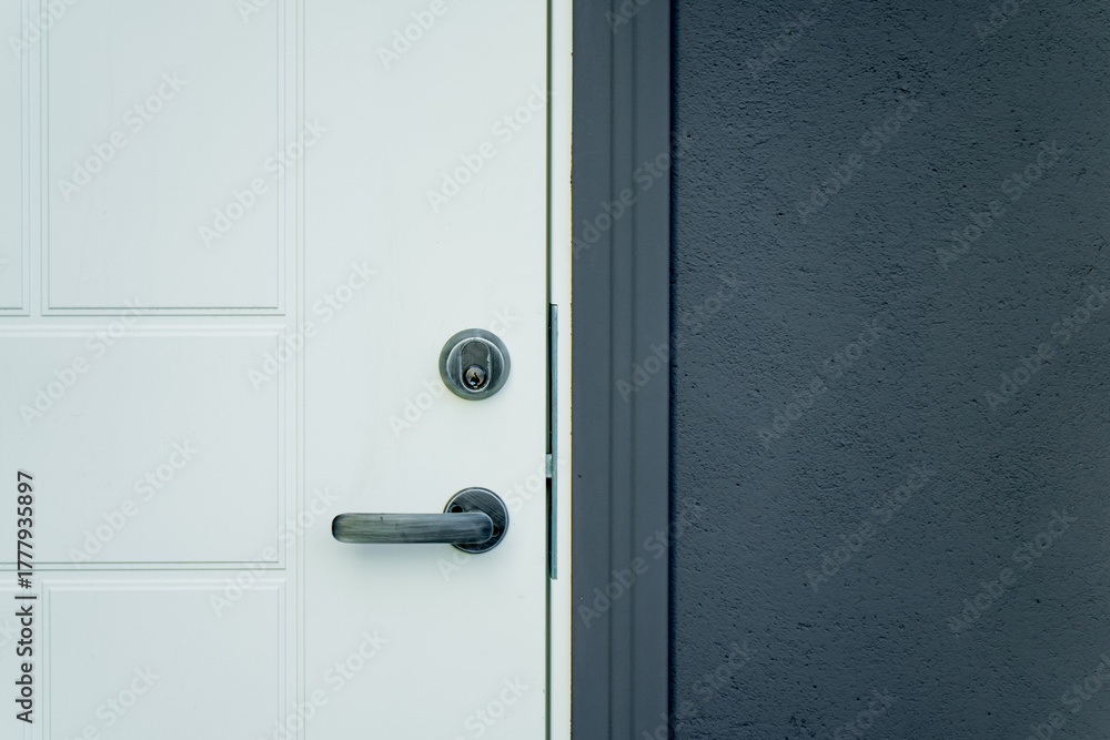 Obraz premium Contemporary residential entrance door with stainless steel handle, cylinder lock and smooth facade wall in modern home exterior design style