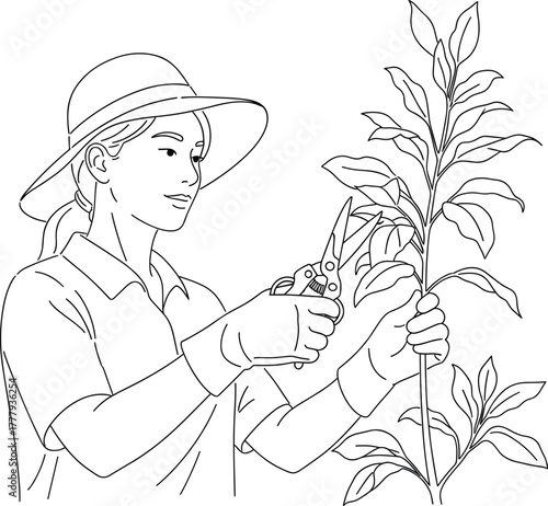 Woman pruning tall plant with shears in black and white line art vector, symbolizing gardening, nature care, and eco-friendly lifestyle.
