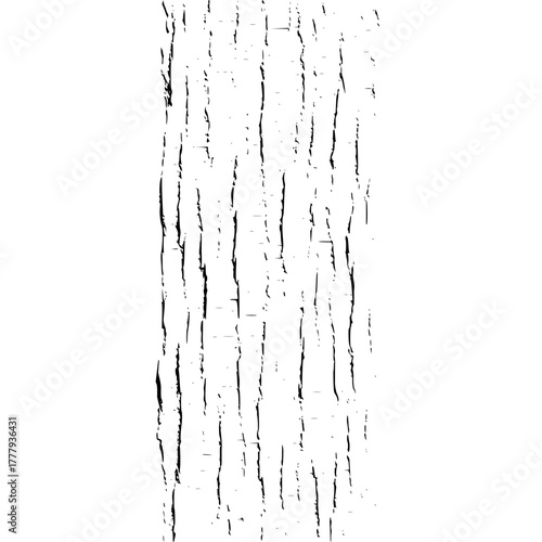 Black and white tree bark texture pattern for background nature trunk wood forest plant design material 100