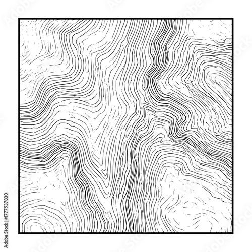Topographic map elevation lines contour design vector illustration for geography and cartography study use
