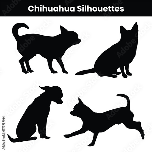 Chihuahua Silhouettes