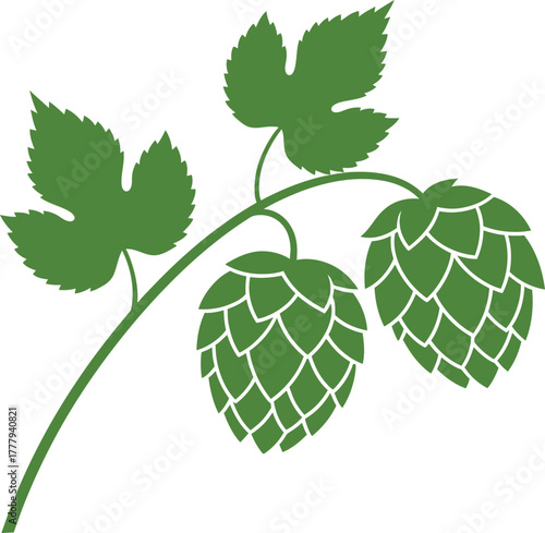 Green hop plant with leaves