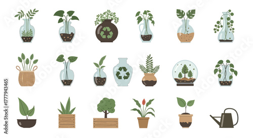 Collection of various potted plants and decorative vases with greenery.