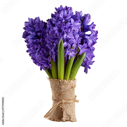 Beautiful Purple Flowers Tied With Burlap Creating a Charming Bouquet for Gif...