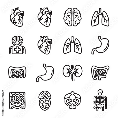 Set of human internal organs outline icons on white background