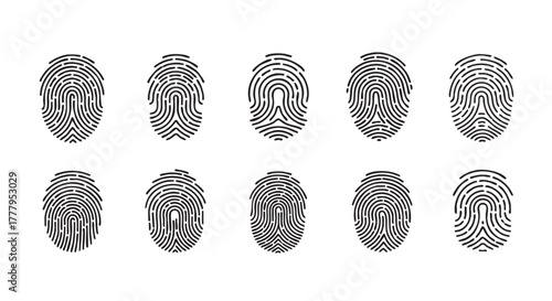 Four unique fingerprint vector designs for identity verification and security measures