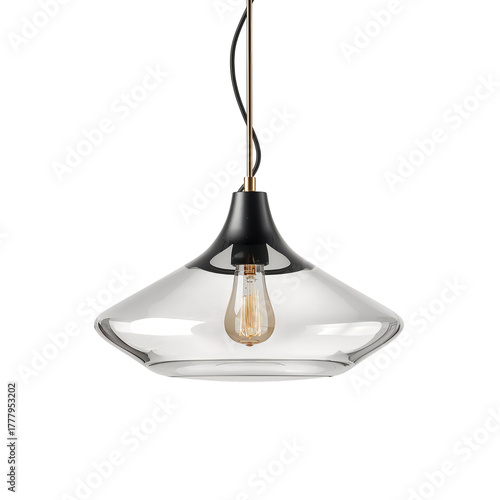 Stylish Hanging Light Fixture With a Modern Design and Clear Glass Shade