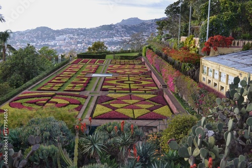 Botanical Garden in Madeira with Vibrant Flowers