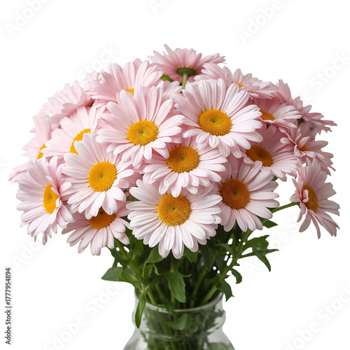 Beautiful Pink Daisies Arranged in a Cheerful Bouquet for Decor or Gifting