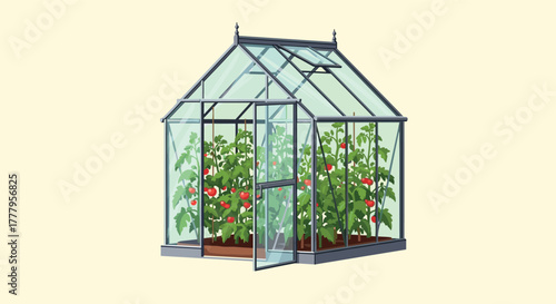 Glass greenhouse with lush tomato plants on a light background