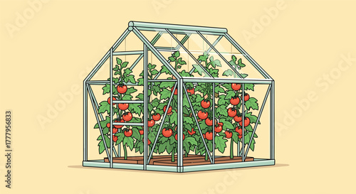 Greenhouse with lush tomato plants on light background