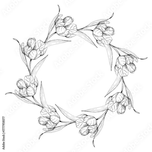 Wreath of tulips. Handmade ink vector illustration of tulip. For design of cards, cover, prints, product labels and fabric.
