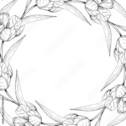 Square frame of tulips. Handmade ink vector illustration of tulip. For design of cards, cover, prints, product labels and fabric.