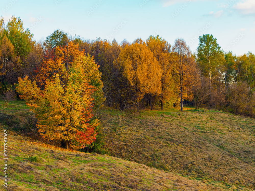 Naklejka premium picturesque landscape of hills and trees in the park in autumn
