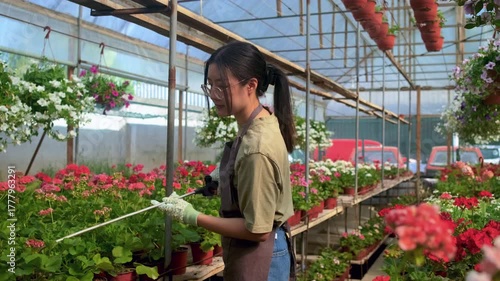 Asian woman working in greenhouse watering flowers.