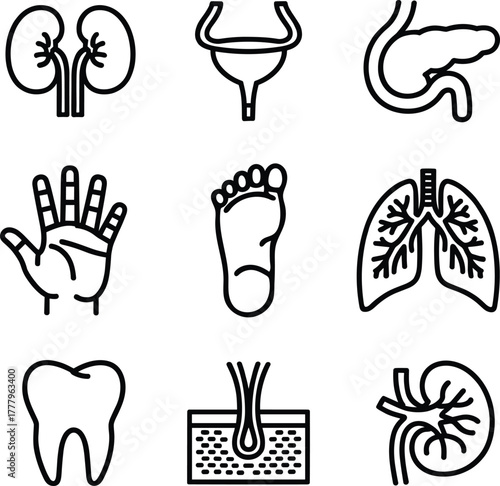 Here are the single-word, two-word, and three-word keywords, all combined into one line as requested, and also including the title