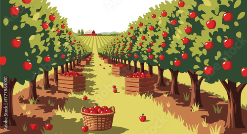 Flat vector apple orchard with fruit trees, wooden crates full of apples, barn on horizon, solid warm tones