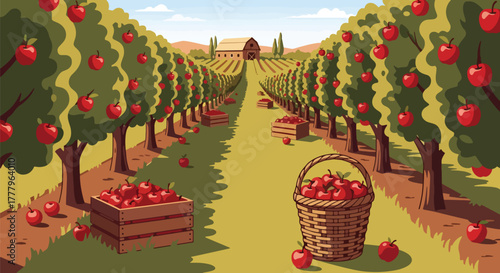 Flat vector apple orchard with fruit trees, wooden crates full of apples, barn on horizon, solid warm tones