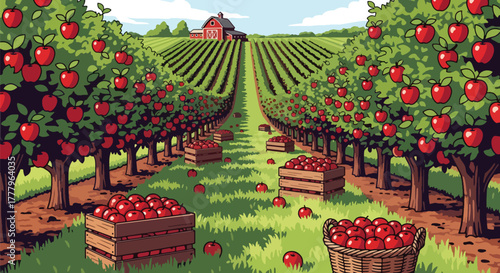 Flat vector apple orchard with fruit trees, wooden crates full of apples, barn on horizon, solid warm tones