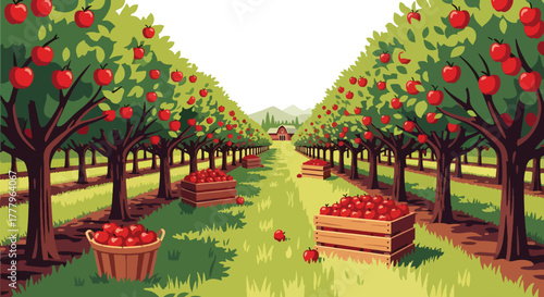 Flat vector apple orchard with fruit trees, wooden crates full of apples, barn on horizon, solid warm tones