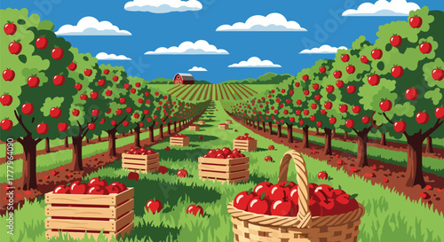 Flat vector apple orchard with fruit trees, wooden crates full of apples, barn on horizon, solid warm tones