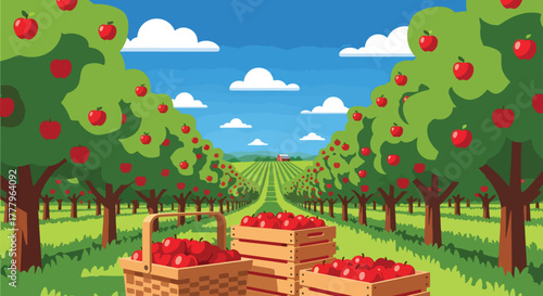 Flat vector apple orchard with fruit trees, wooden crates full of apples, barn on horizon, solid warm tones
