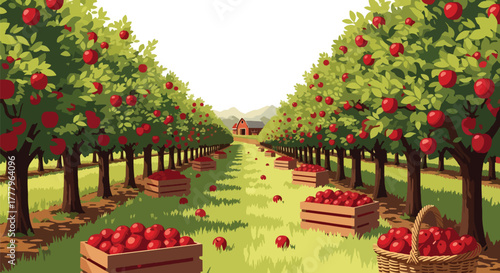 Flat vector apple orchard with fruit trees, wooden crates full of apples, barn on horizon, solid warm tones