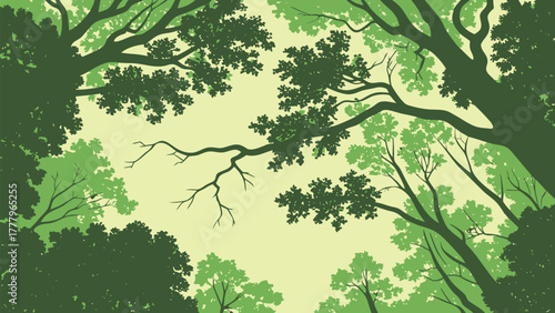 Looking up through a dense green forest canopy with sunlight filtering through the leaves and branches above