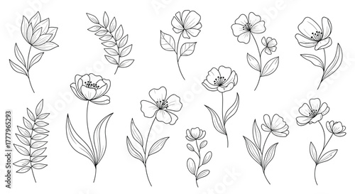 A delicate collection of hand-drawn botanical illustrations featuring various wildflowers and blooming plants.